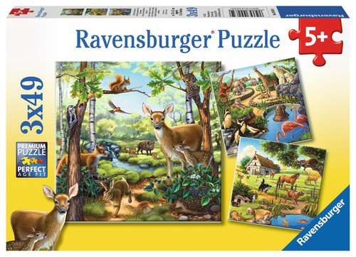 Teile ravensburger - 3,